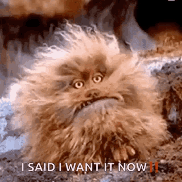 fuzzy ball character with teeth, mouth wide open and yelling with the caption "I said I want it now!" It's fizzgig, the pet from the film "the Dark Crystal"
